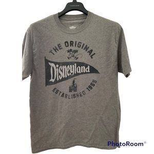 Hanes Disney gray tshirt large